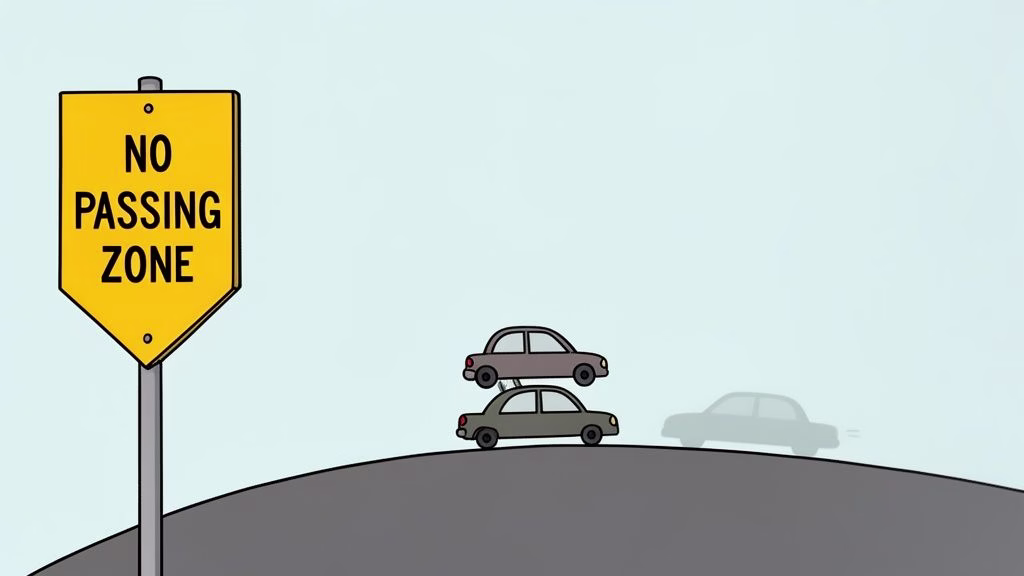 A yellow NO PASSING ZONE sign stands on the left, with two cars stacked vertically on a road hill.