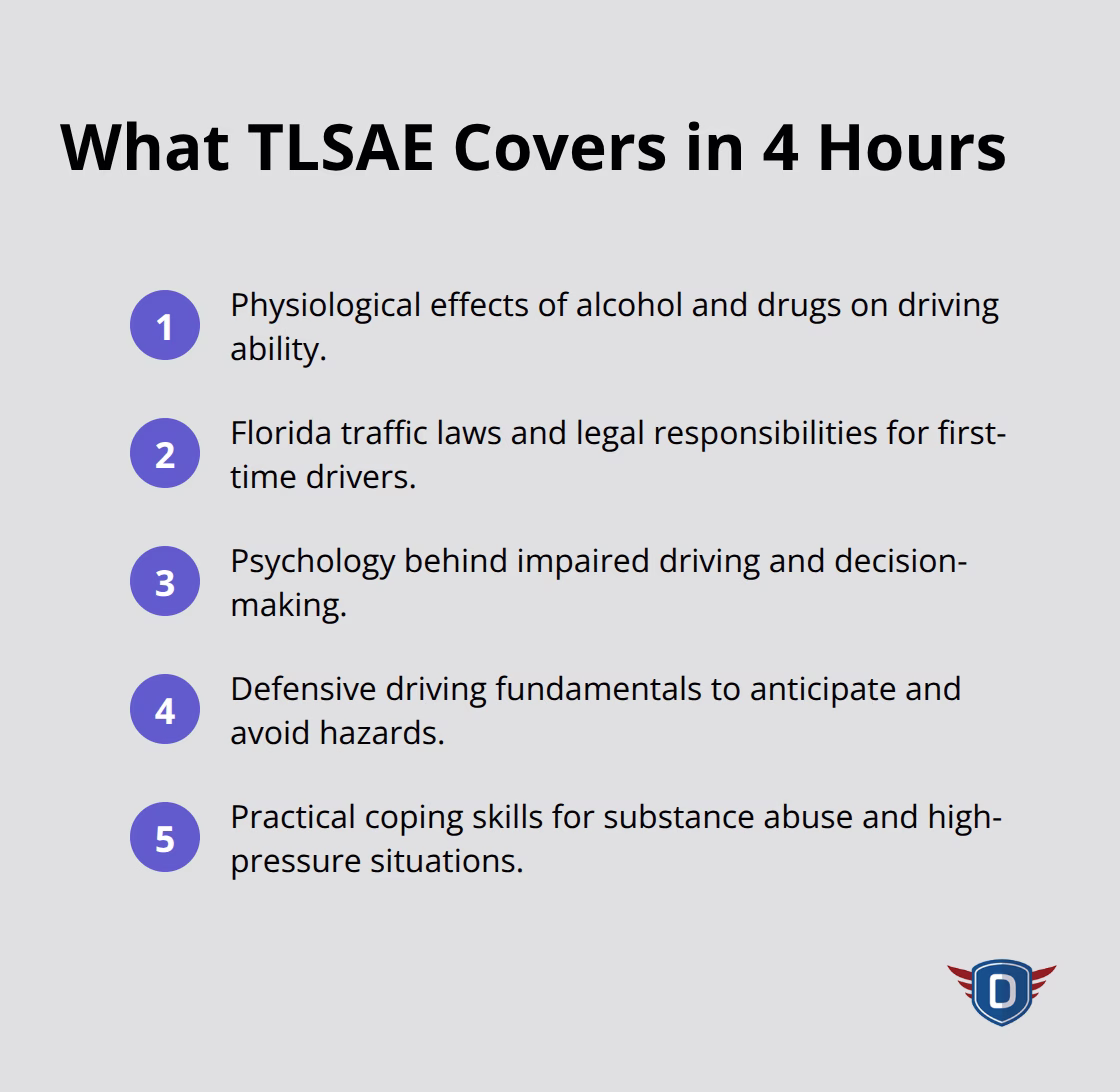 Key TLSAE course coverage areas summarized for new Florida drivers - Course completion benefits